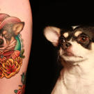 Dog and doggie tattoo