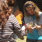 Alyssa holds a baby chick for Kelly to pet.
