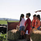 While visiting a dairy farm, Kate and the kids go on a hay ride.