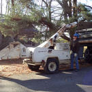 The Bates boys prepare the wood chipper.