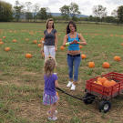 Kayla and Laura take the kids to a pumpkin patch for some good, old-fashioned family fun.