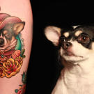 Megan tattoos her dog - Beatrix Elenor Longbody - onto Taylor.
