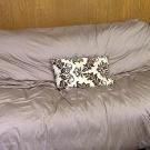 Sofa: Before