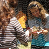 Alyssa holds a baby chick for Kelly to pet.