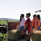 While visiting a dairy farm, Kate and the kids go on a hay ride.