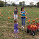 Kayla and Laura take the kids to a pumpkin patch for some good, old-fashioned family fun.
