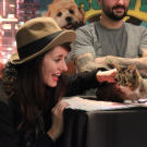 Lil BUB meets her adoring fans.