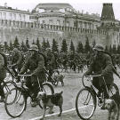 The procession of war dogs in Moscow's Red Square continues, 1938.