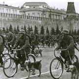 The procession of war dogs in Moscow's Red Square continues, 1938.