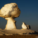 The White Desert in Egypt is dominated by strange formations: ancient coral reefs carved and shaped by wind-blown sand.