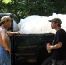 What are Tim and Tickle doing with a truckful of plastic jugs?