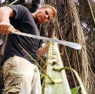 George uses a machete to get through the tough jungle.