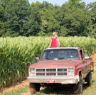 The corn is high as JT passes through a field.