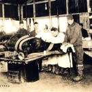 As with the men they served horses suffered a great deal during the Great War as unprecedented quantities of artillery were lobbed at each other by opposing forces in an attempt to bleed the other white. Fortunately for this horse the US Army Signal Corps was ready to receive and treat it.