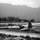 Yet another B-17 that crash landed on Oahu at Bellows Field during the Pearl Harbor attack. The plane had flown in from California.