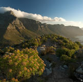 Table Mountain shrouded beneath the billowing "Table Cloth" clouds. This icon of the continent overlooks Africa's southernmost tip, the Cape of Good Hope, where the cold Atlantic Ocean meets the warm Indian Ocean to create spectacular clouds over Table Mountain. But the interaction between these two great oceans does more than just create clouds; it shapes the whole of Africa's southern Cape.