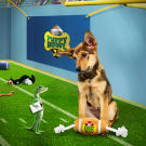 The GEICO Gecko praises a pup for the great play!