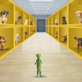 After talking with the pups, he decides they are the perfect contenders for Puppy Bowl X.