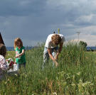 2. Forage For Food