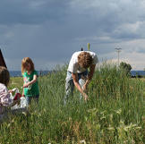 2. Forage For Food