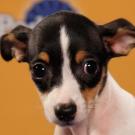 Name: Joni