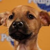 Name: Calvin