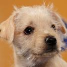 Name: Eurika