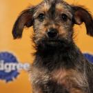 Name: Leroy Brown