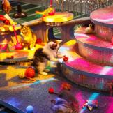 Kitty halftime show in full effect!