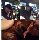 Jamie is also a dog person. In fact, he recently welcomed into his family a puppy named Two, who joins Zero in the Hyneman household. Adam has two dogs as well, Maggie and Huxley.