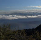 A fog holds over the bay in early spring.