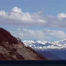 The bay during late winter/early spring.