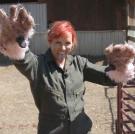 To grease the pigs, the MythBusters turned to a water-based birthing lubricant used by veterinarians. Explains Kari, "We used it specifically because Jamie and Adam had done extensive testing when they did the banana-peel episode and said that this was the slipperiest material we could use. And we could use it on the animals without hurting them."