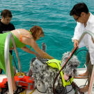 Robodog joined Kari, Grant and Tory in the Bahamas during Shark Week 2008.