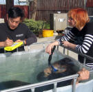 No stranger to ninja myths, the MythBusters devoted an entire special to them in 2008.
