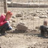 When asked who had more fun on this episode, M7 or M5, Kari replied, "It must be Jamie and Adam. They got to work with pretty little cats, and we had gross mud-covered pigs."
