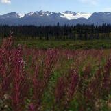 The colors of spring are in full bloom, and the grasses and flowers bask in the warm sun.