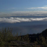 A fog holds over the bay in early spring.