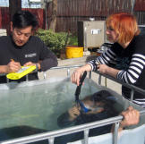 No stranger to ninja myths, the MythBusters devoted an entire special to them in 2008.