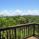 Waking up and having your morning cup of coffee is far more relaxing when you have this to look at.