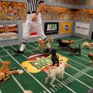 The ref assesses the field as the pups look on.
