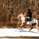 Kareem Rosser grew up in one of the worst neighborhoods in the country, exposed to drugs, gangs, and violence every day. At the age of seven, Kareem joined the Work-to-Ride program and began to spend all his time at the horse stables where he met Mecca Harris. Kareem looked up to Mecca, and they formed a tight bond. One night, an intruder broke into Mecca's mom's house, killing her mother and Mecca. Kareem was shattered. The horses were the only thing that eased his pain. Over the past several years, Kareem has become one of the best polo players in the country. "These horses have 100% saved my life," says Kareem. "They show the potential in me, they show what someone from where I come from can do if given the chance."