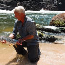 African tigerfish