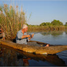 African tigerfish