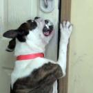 I want out!