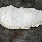 Bull Mountain, GA
We asked Finding Bigfoot's Cliff Barackman to share with us some of the more interesting bigfoot casts he's collected over the years. Many of these casts are further explained at "Cliff's Print/Cast Database" on his website, cliffbarackman.com.