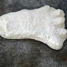 "Baby Foot" — Blue Mountains, OR. "This cast was found near Gifford Peak in April of 1992 by Wes Sumerlin," says bigfoot investigator Cliff Barackman. "Wes had gone horse camping near a spring with his wife, but after leaving camp and heading back, he discovered that he left some gear behind. When he returned to where they had been camping to pick up his belongings, he found these juvenile footprints in the muddy area of the spring, along with a larger set of prints. He cast three of the juvenile prints, one of which is pictured above."