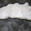"Cripple Foot" (right foot) — Bossburg, WA