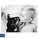 Theo will wait for Beau to fall asleep, and is usually sleepy himself. Shyba will hoist him onto the bed where he snuggles up to the boy.