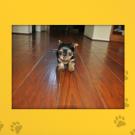 Name: Chikita